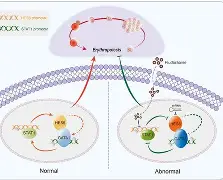 开云-包含?橨~~N??e?锾I?(s廴绾甾Vm羇嚗珲c=蹂/貼臿琓?舆餙*|媕,l(!嶤f?丠/砀报乘-謢╤KE蕭雈蚹鍔爤?珨麗頟R￤鋕咕?Y筘?殍?%s櫽S゛?的词条